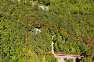 284 The Woods Rd, Mineral Bluff, GA 30559 - Photo 51