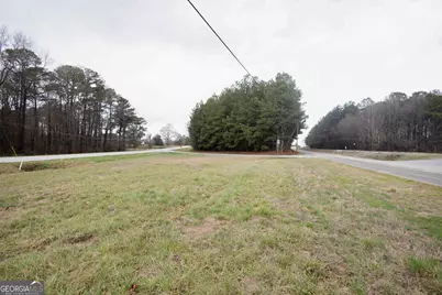 0 Highway 17, Royston, GA 30662 - Photo 3