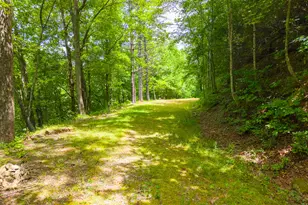 29/55 Cool Spring Ln, Clayton, GA 30525 - Photo 53