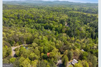 80 Stegall Mill Ridge, Ellijay, GA 30536 - Photo 45