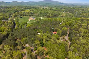 80 Stegall Mill Ridge, Ellijay, GA 30536 - Photo 47
