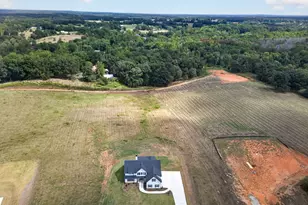 3253 W Hwy 5, Bowdon, GA 30108 - Photo 49