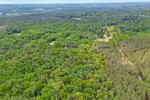 418 Campbell Rd, Cedartown, GA 30125 - Photo 49