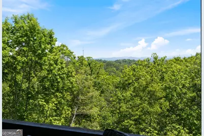 161 Huntington Way, Blue Ridge, GA 30513 - Photo 59