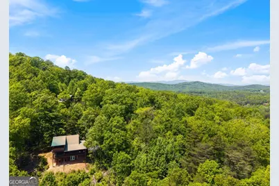 161 Huntington Way, Blue Ridge, GA 30513 - Photo 63