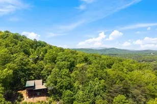 161 Huntington Way, Blue Ridge, GA 30513 - Photo 63