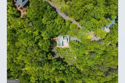 161 Huntington Way, Blue Ridge, GA 30513 - Photo 61