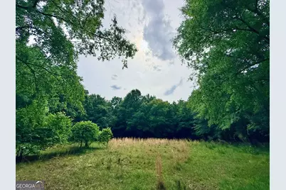 715 Fulsome Creek Road, Sparta, GA 31087 - Photo 13