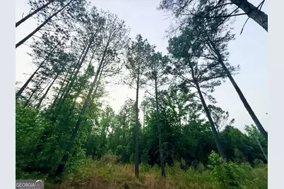715 Fulsome Creek Road, Sparta, GA 31087 - Photo 47