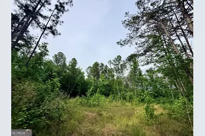 715 Fulsome Creek Road, Sparta, GA 31087 - Photo 85