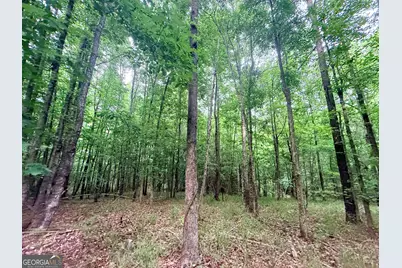 715 Fulsome Creek Road, Sparta, GA 31087 - Photo 39