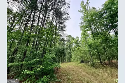 715 Fulsome Creek Road, Sparta, GA 31087 - Photo 65