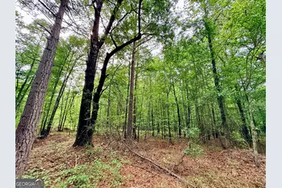 715 Fulsome Creek Road, Sparta, GA 31087 - Photo 101