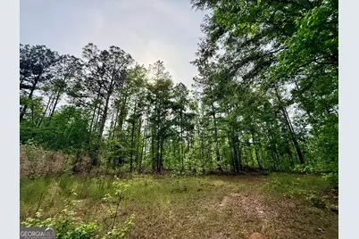 715 Fulsome Creek Road, Sparta, GA 31087 - Photo 89