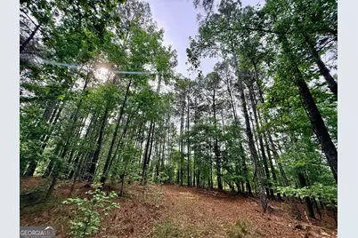 715 Fulsome Creek Road, Sparta, GA 31087 - Photo 83
