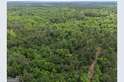 715 Fulsome Creek Road, Sparta, GA 31087 - Photo 29