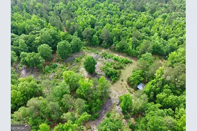 715 Fulsome Creek Road, Sparta, GA 31087 - Photo 115