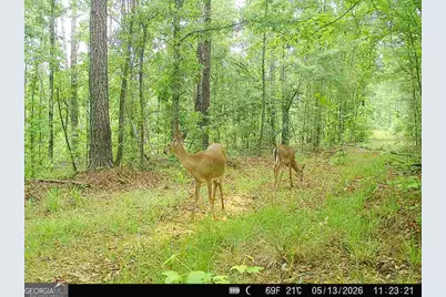 715 Fulsome Creek Road, Sparta, GA 31087 - Photo 23