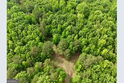 715 Fulsome Creek Road, Sparta, GA 31087 - Photo 113
