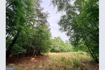 715 Fulsome Creek Road, Sparta, GA 31087 - Photo 71