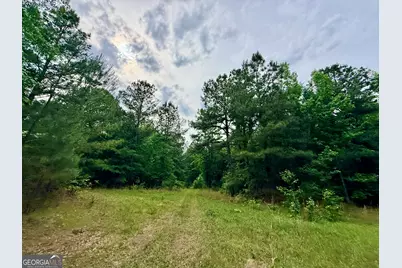 715 Fulsome Creek Road, Sparta, GA 31087 - Photo 105