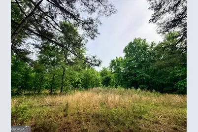 715 Fulsome Creek Road, Sparta, GA 31087 - Photo 81