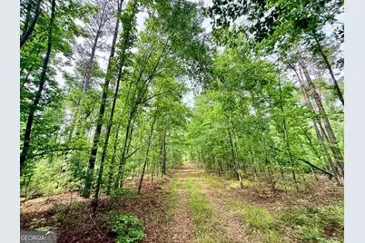 715 Fulsome Creek Road, Sparta, GA 31087 - Photo 91
