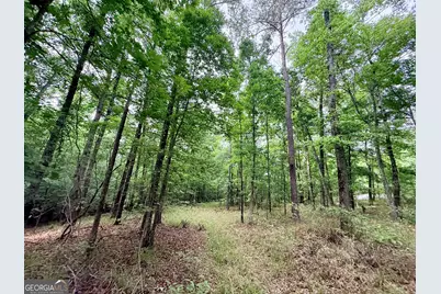 715 Fulsome Creek Road, Sparta, GA 31087 - Photo 63