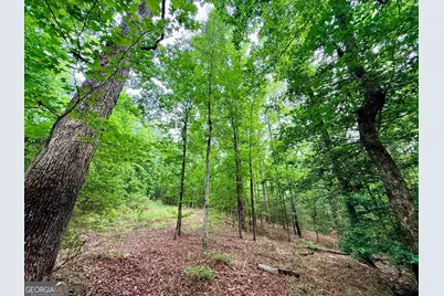 715 Fulsome Creek Road, Sparta, GA 31087 - Photo 59