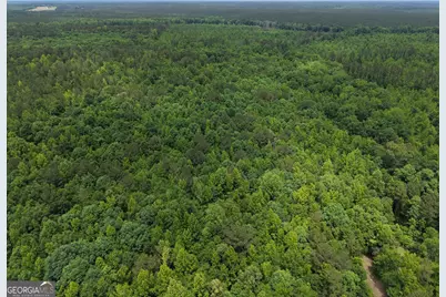 715 Fulsome Creek Road, Sparta, GA 31087 - Photo 27