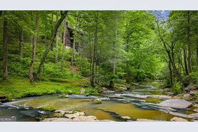 4396 Highway 382 W, Ellijay, GA 30540 - Photo 73
