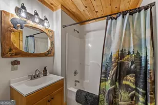 4396 Hwy 382 W, Ellijay, GA 30540 - Photo 59