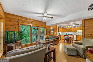 4396 Hwy 382 W, Ellijay, GA 30540 - Photo 39