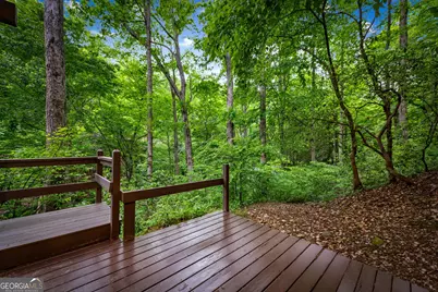 4396 Highway 382 W, Ellijay, GA 30540 - Photo 69