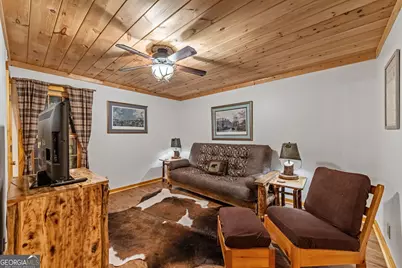 4396 Highway 382 W, Ellijay, GA 30540 - Photo 55