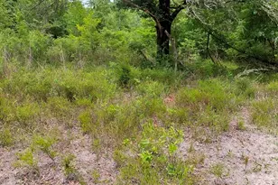 436 Russell Blvd, Saint George, GA 31562 - Photo 31