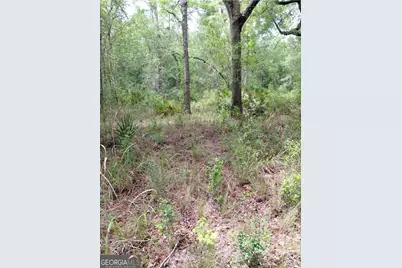 436 Russell Boulevard, Saint George, GA 31562 - Photo 17