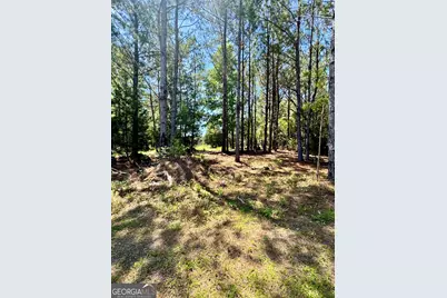 0 Nautical Mile, Waverly, GA 31565 - Photo 5