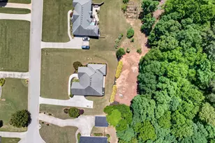 229 Hummingbird Ct, Hampton, GA 30228 - Photo 45