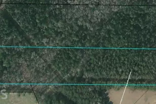 0 Witcher Rd, Newnan, GA 30263 - Photo 1