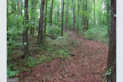 237 Waters Edge Court, Martin, GA 30557 - Photo 5