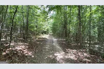 48.04 Acres Caldwell Road, Zebulon, GA 30295 - Photo 11