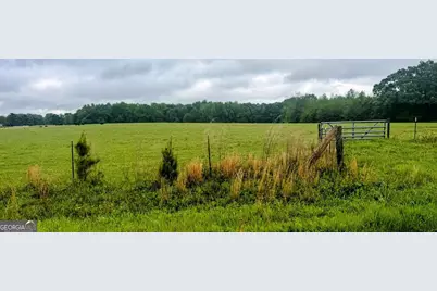 48.04 Acres Caldwell Road, Zebulon, GA 30295 - Photo 23