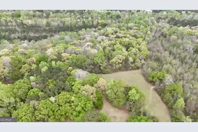 48.04 Acres Caldwell Rd, Zebulon, GA 30295 - Photo 3