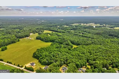 48.04 Acres Caldwell Road, Zebulon, GA 30295 - Photo 15