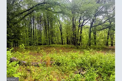 48.04 Acres Caldwell Rd, Zebulon, GA 30295 - Photo 5