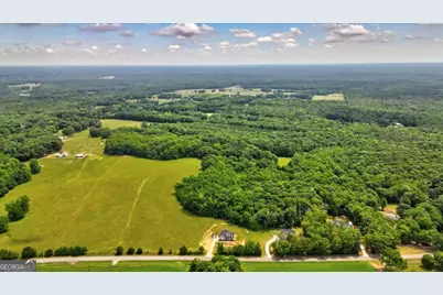 48.04 Acres Caldwell Road, Zebulon, GA 30295 - Photo 13