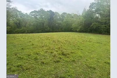 48.04 Acres Caldwell Road, Zebulon, GA 30295 - Photo 5