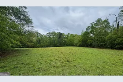48.04 Acres Caldwell Rd, Zebulon, GA 30295 - Photo 9