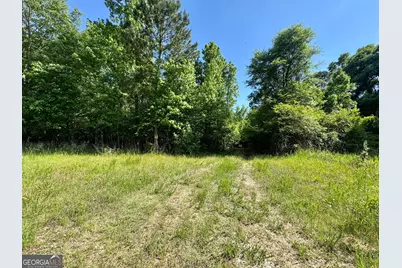 000 Leslie Mill Road, Greensboro, GA 30642 - Photo 3